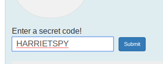 image of Secret Code entry widget